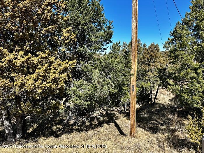256 Caprock Ct., Alto, New Mexico image 1