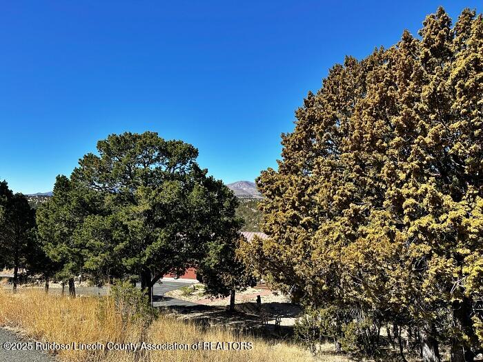 256 Caprock Ct., Alto, New Mexico image 4