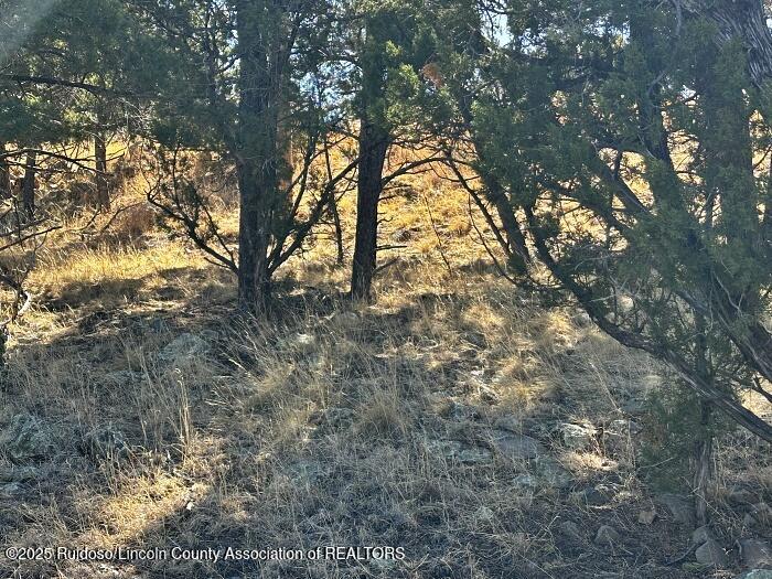 256 Caprock Ct., Alto, New Mexico image 3