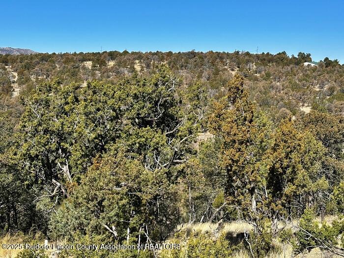 256 Caprock Ct., Alto, New Mexico image 2