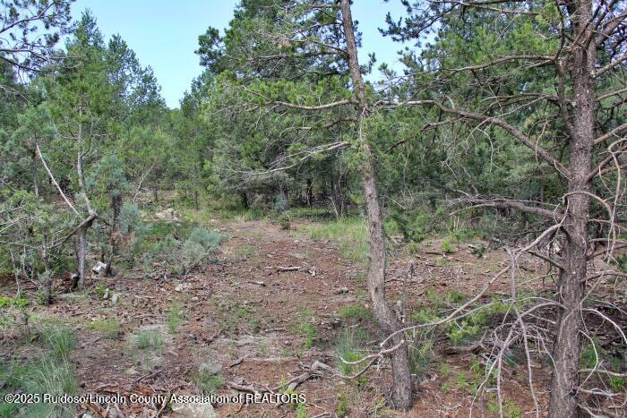 Alto, New Mexico 88312, United States, ,Land,Active,188967