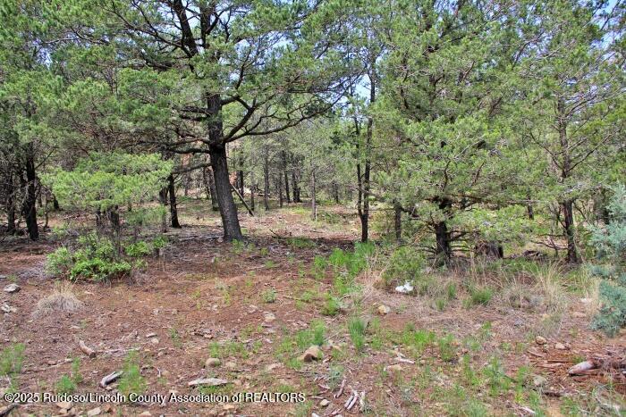 Alto, New Mexico 88312, United States, ,Land,Active,188967