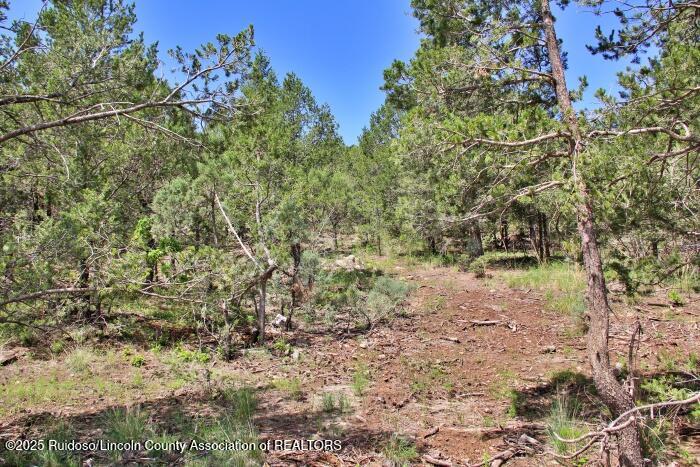 Alto, New Mexico 88312, United States, ,Land,Active,188967