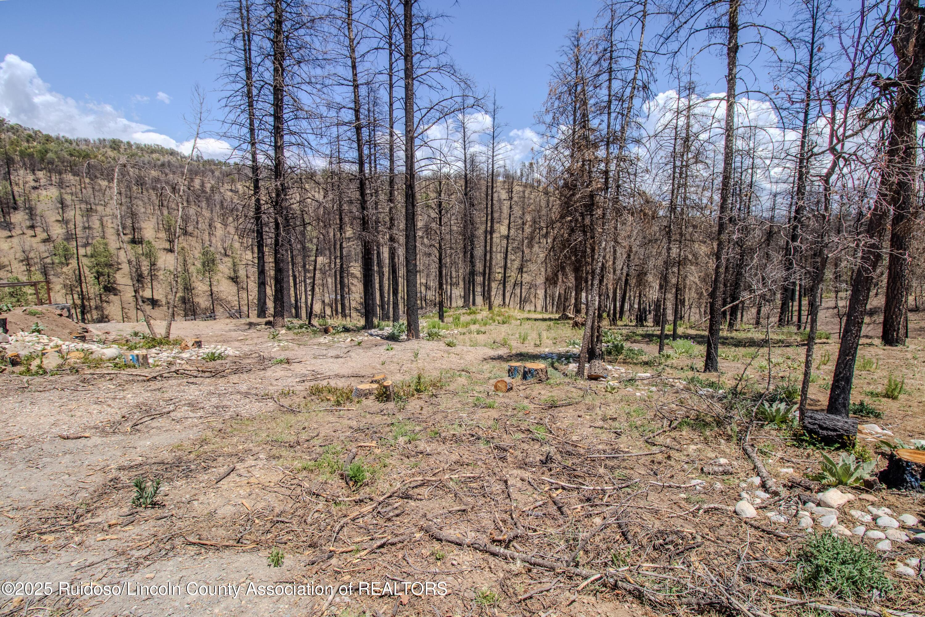 136 Bluebell Lane, Ruidoso, New Mexico image 4