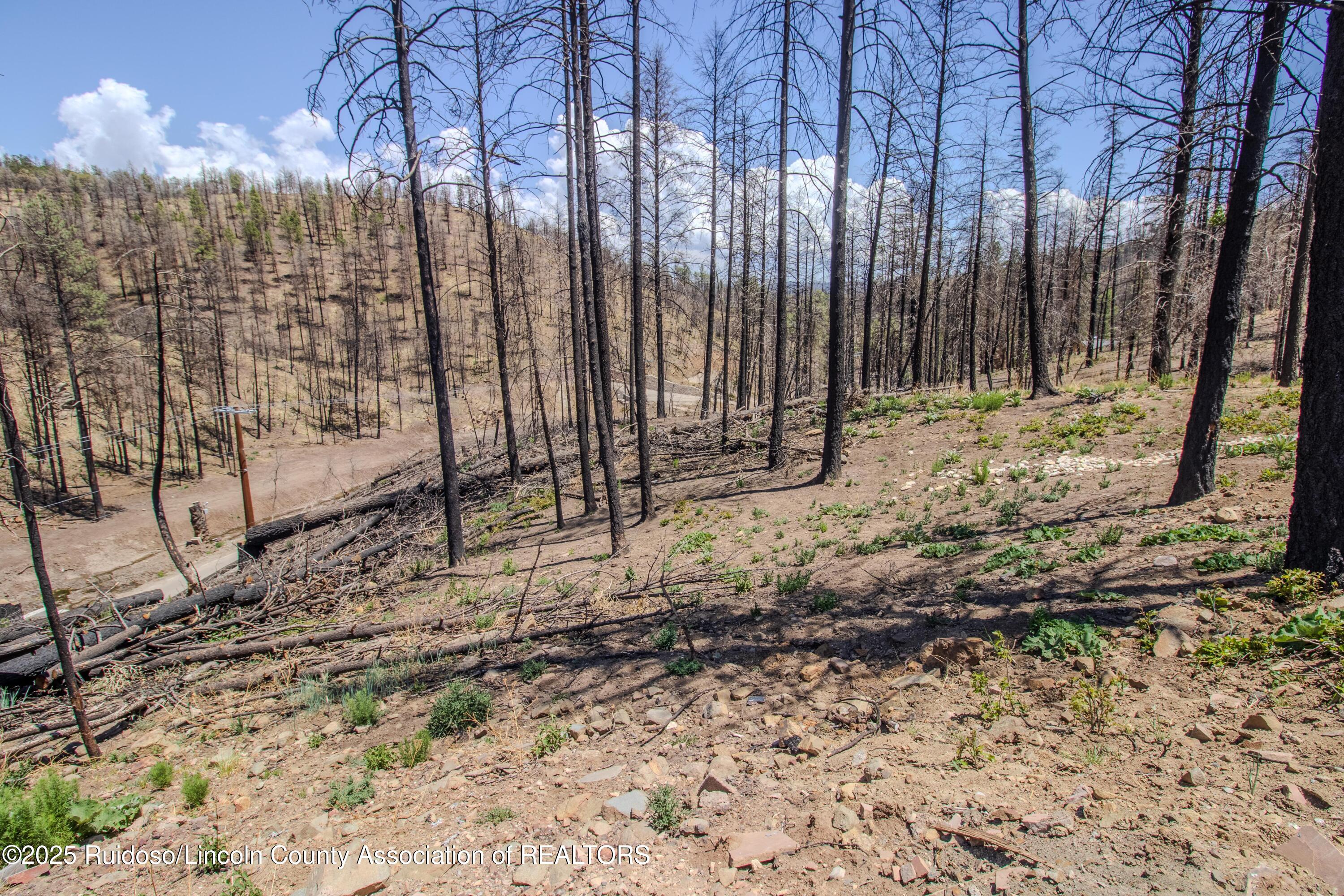 136 Bluebell Lane, Ruidoso, New Mexico image 10