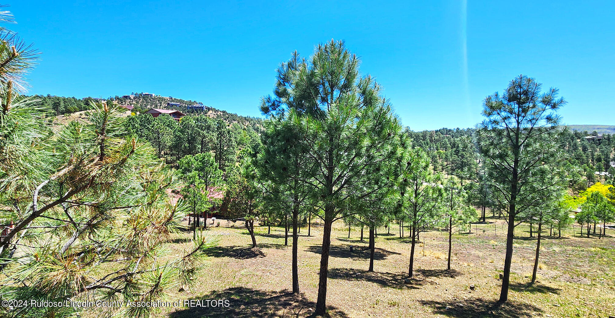 406 Sunny Slope Drive #3, Ruidoso, New Mexico image 22