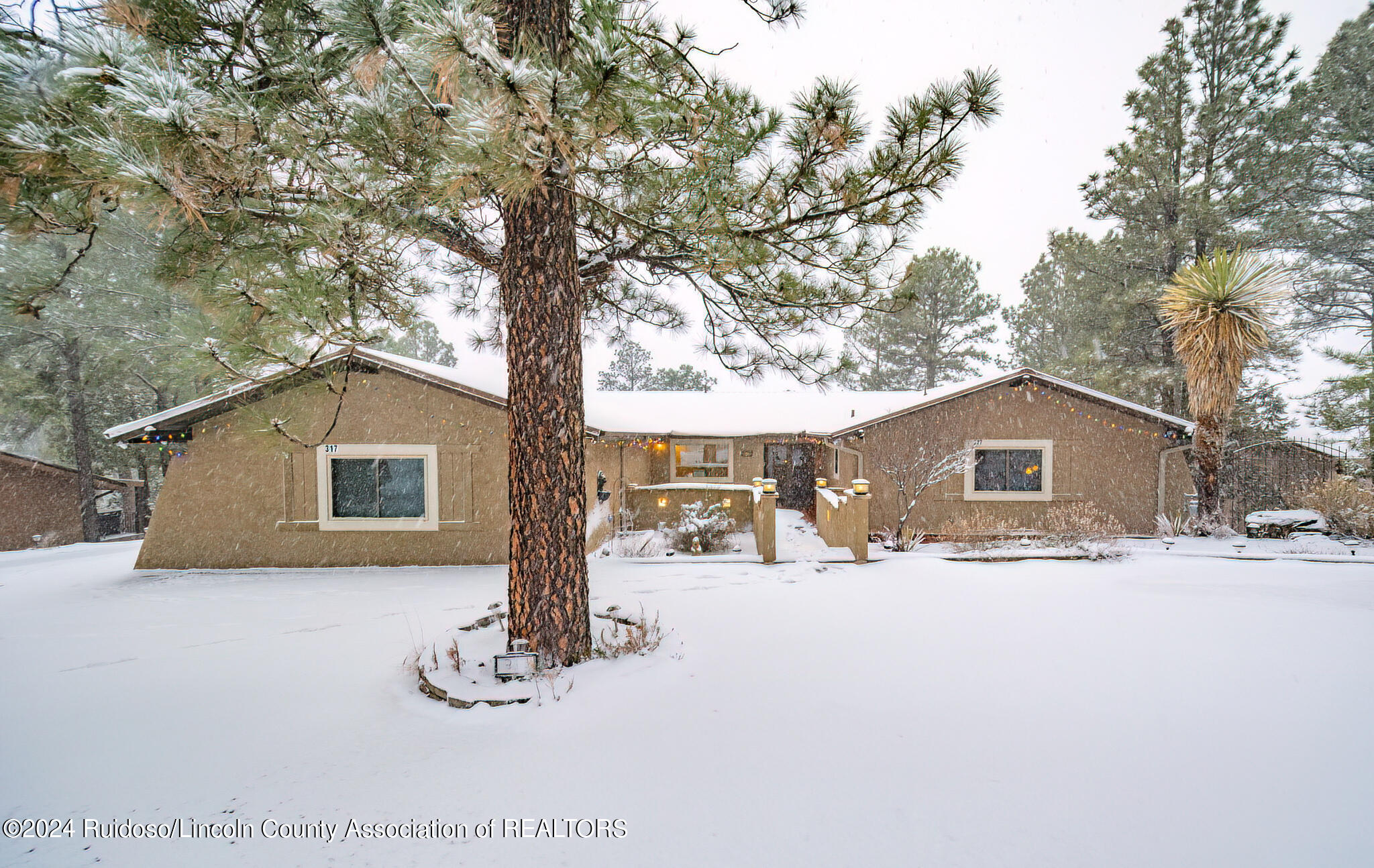 317 Mcbride Drive Drive, Ruidoso, New Mexico image 1