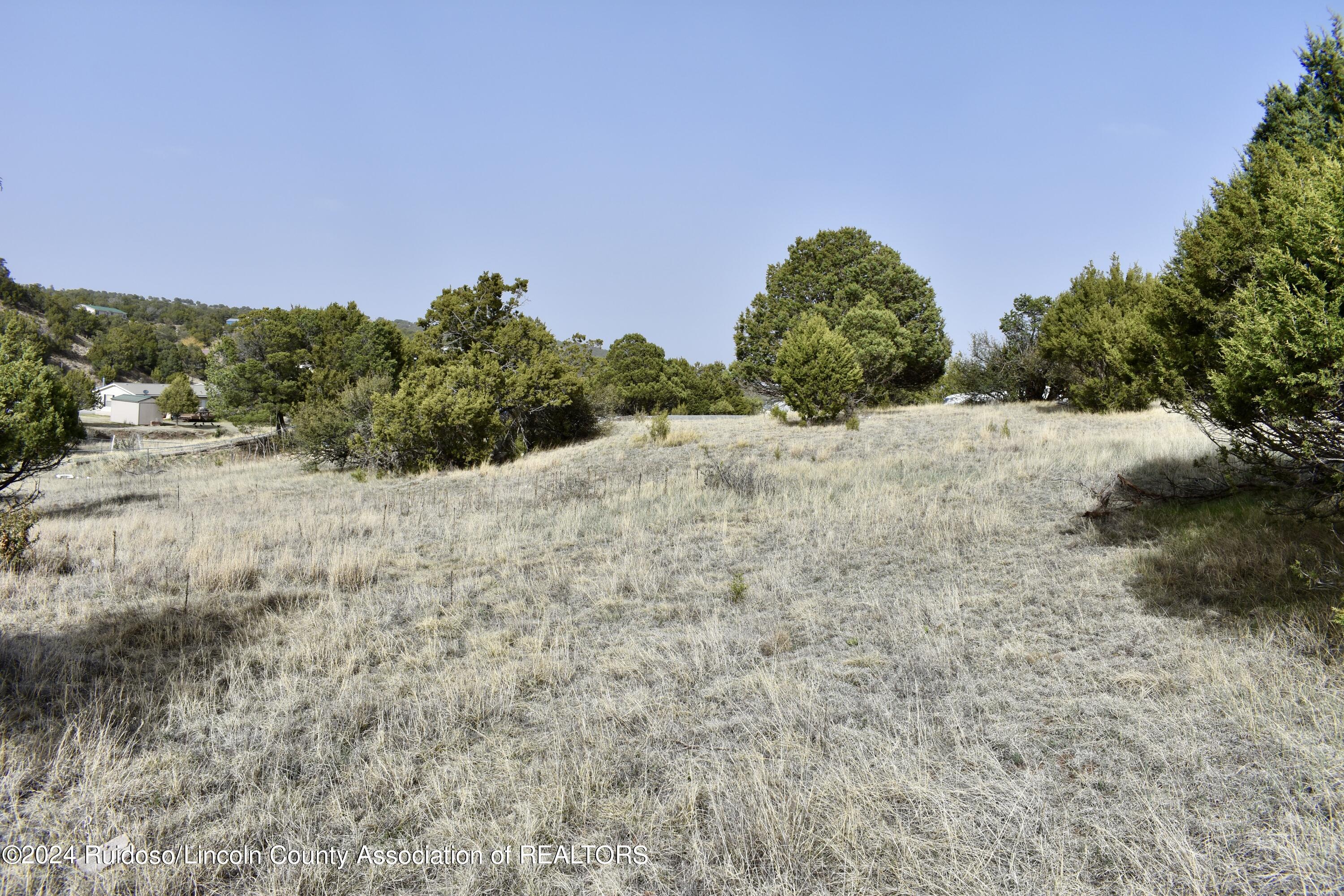 Lot 2 Gunsmoke Ct., Alto, New Mexico image 5