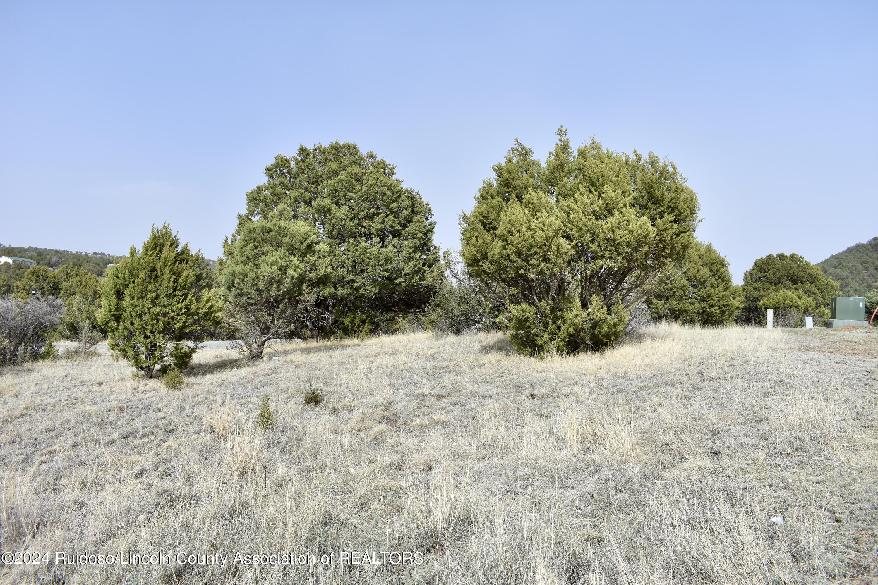 Lot 2 Gunsmoke Ct., Alto, New Mexico image 4