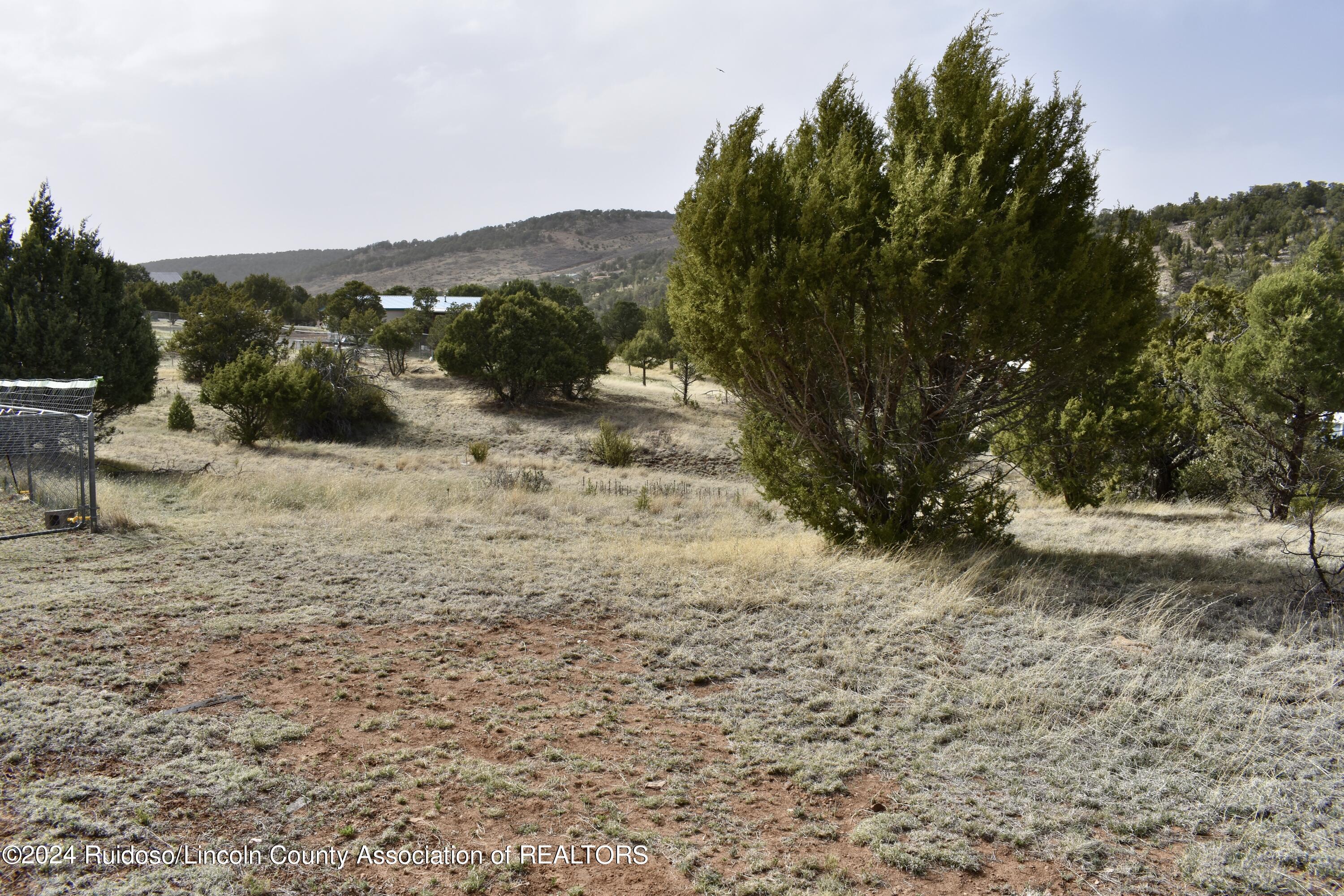 Lot 2 Gunsmoke Ct., Alto, New Mexico image 3