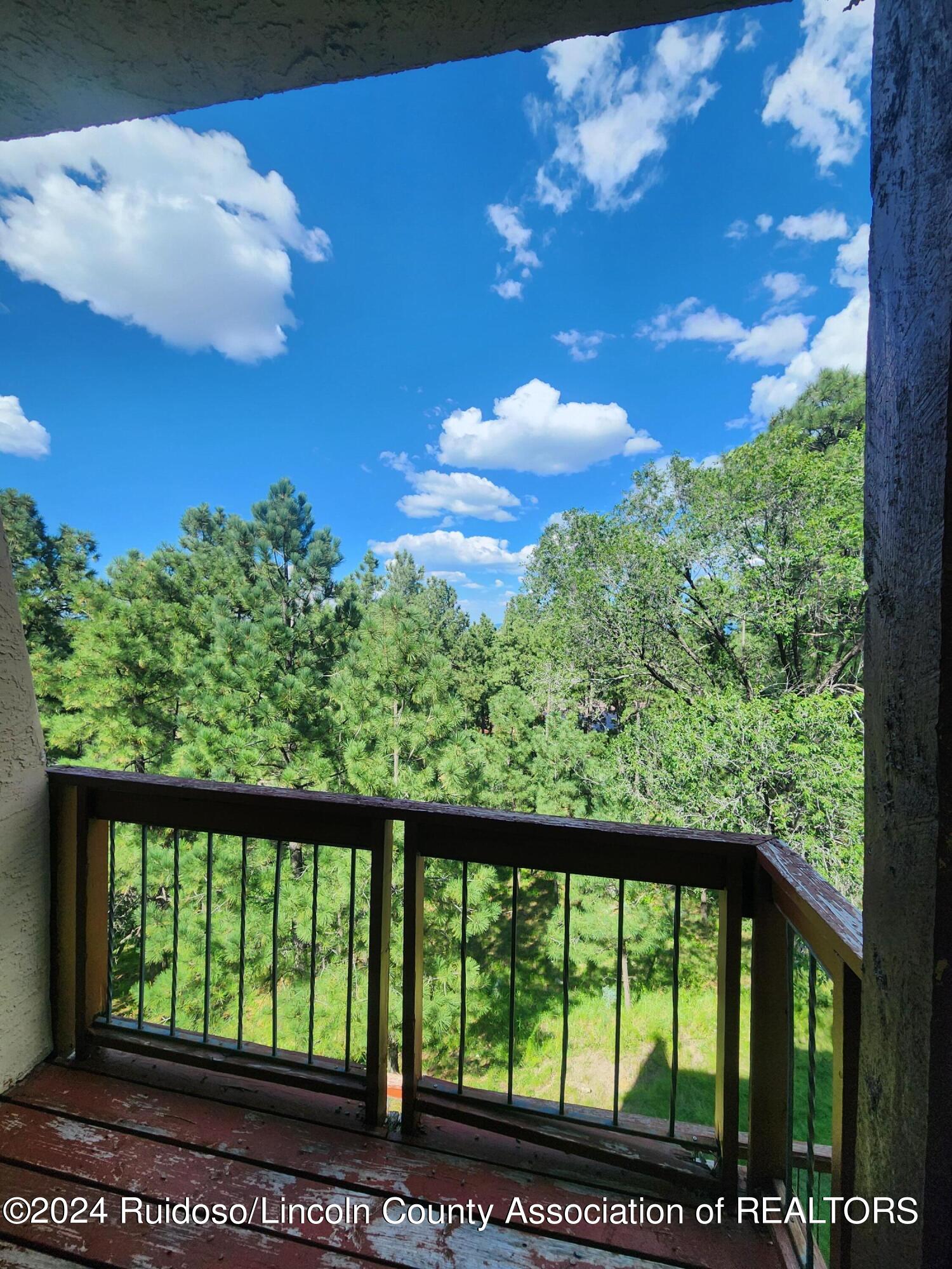 120 Alto Alps Road, Alto, New Mexico image 30