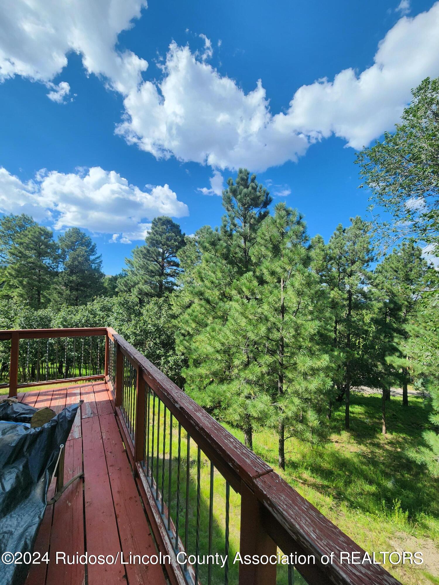 120 Alto Alps Road, Alto, New Mexico image 41