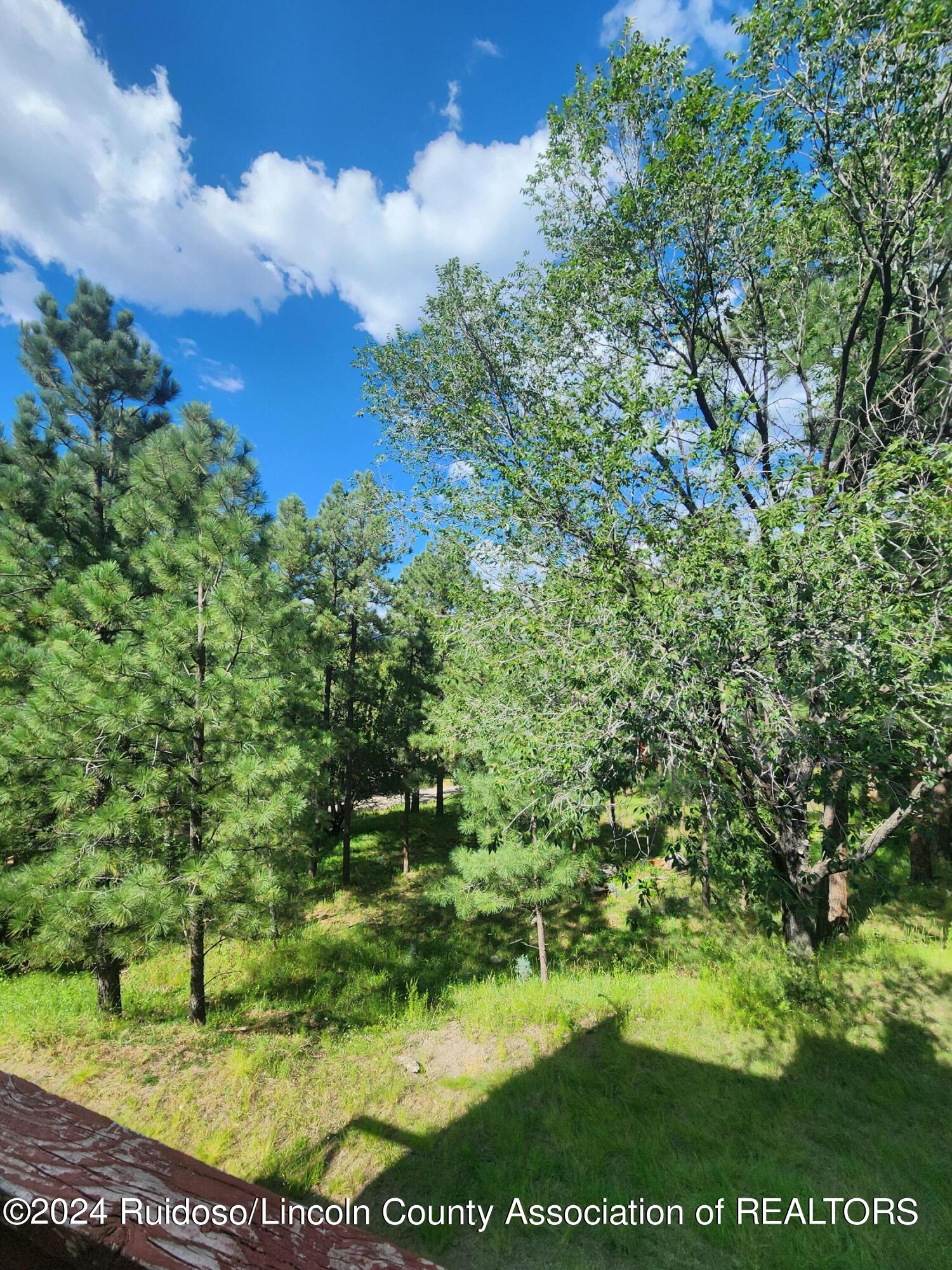 120 Alto Alps Road, Alto, New Mexico image 43