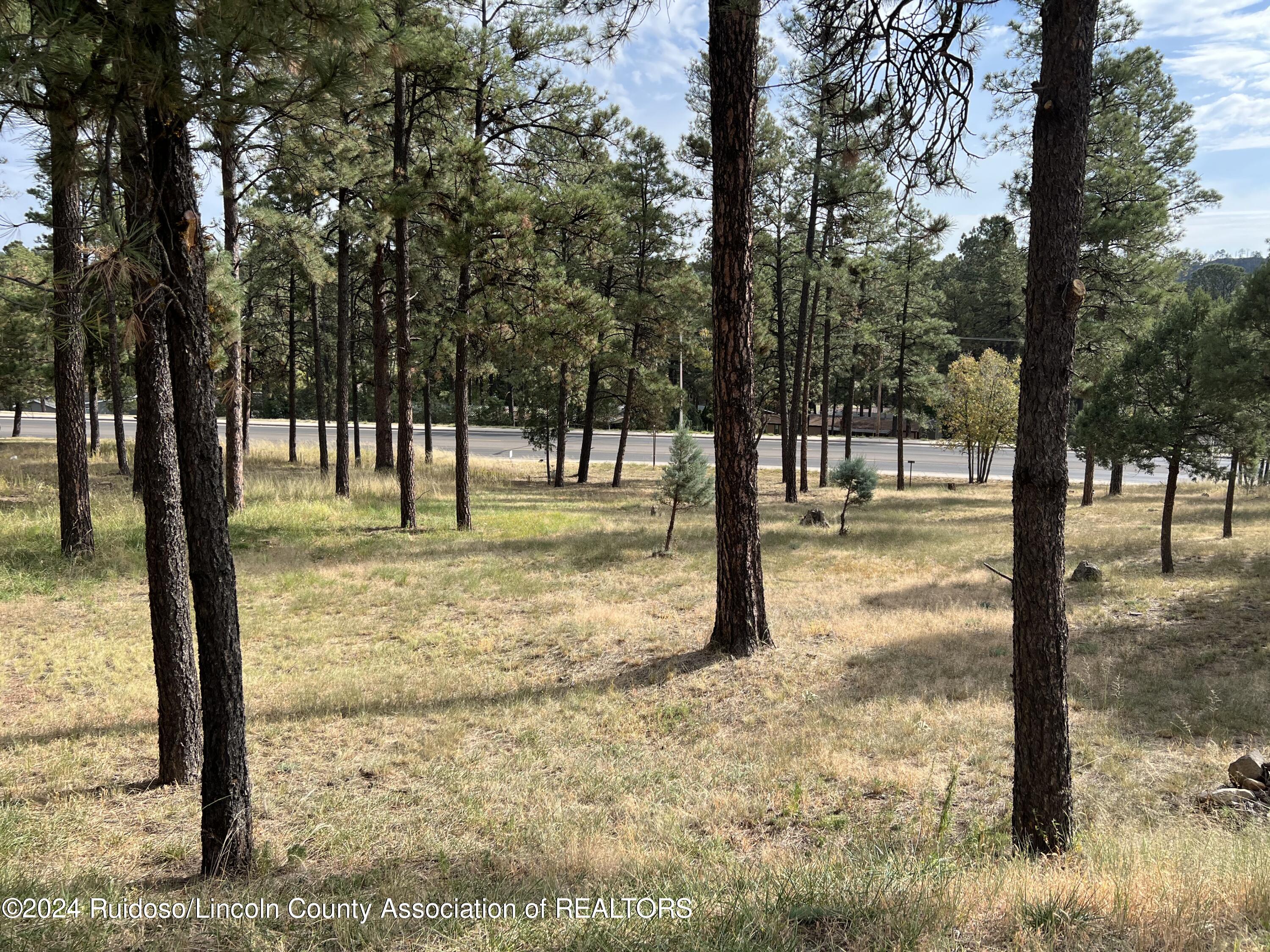 1117 Mechem Drive, Ruidoso, New Mexico image 8