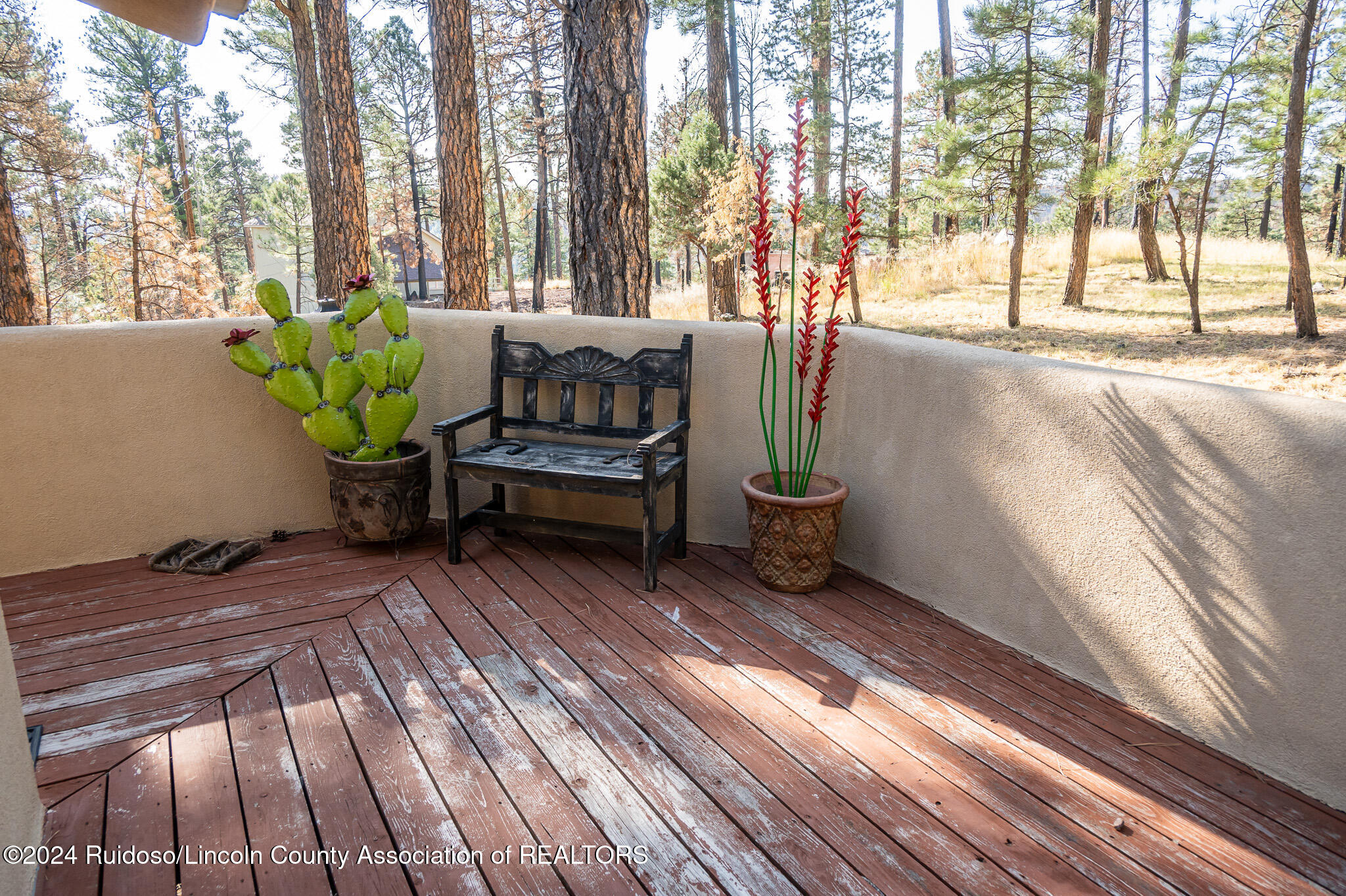 101 Pine Cone Lane, Alto, New Mexico image 6