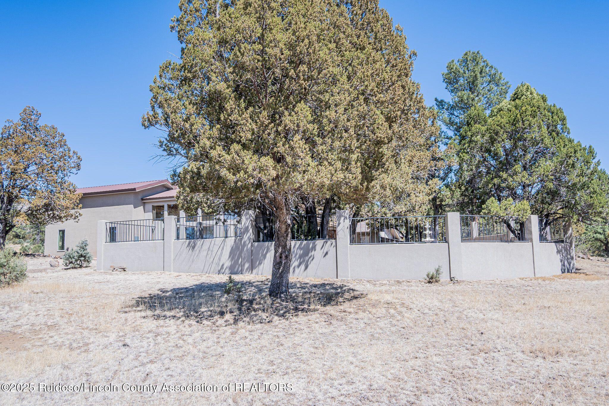 1097 State Hwy 48, Alto, New Mexico image 12