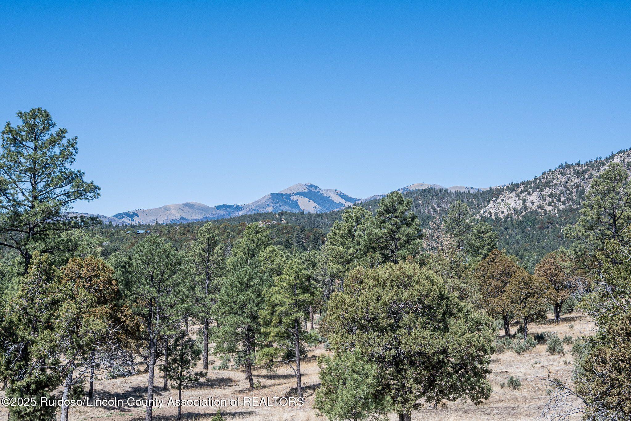 1097 State Hwy 48, Alto, New Mexico image 46