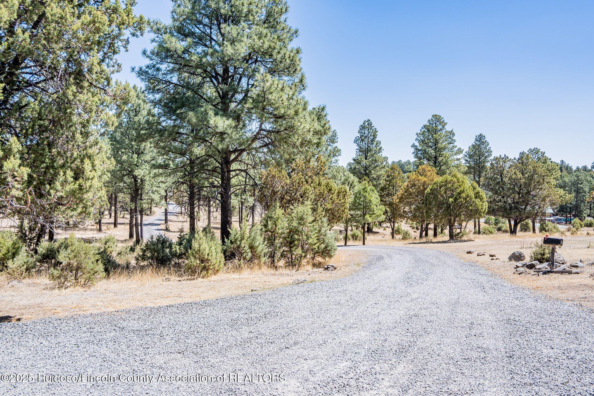 1097 State Hwy 48, Alto, New Mexico image 3