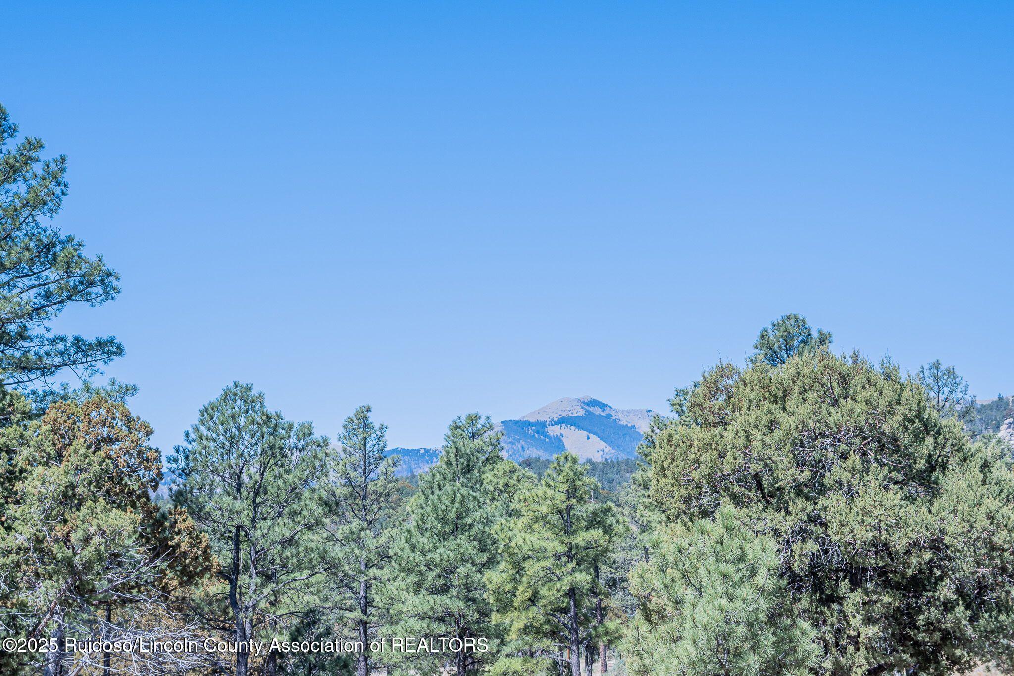 1097 State Hwy 48, Alto, New Mexico image 2