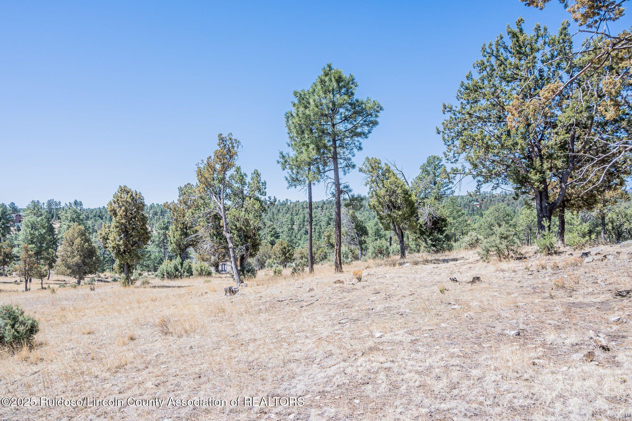 1097 State Hwy 48, Alto, New Mexico image 15