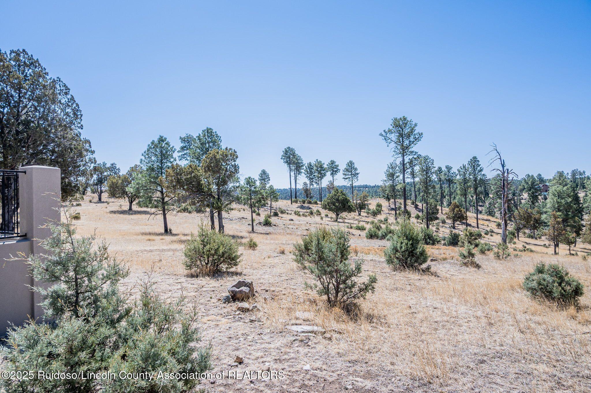 1097 State Hwy 48, Alto, New Mexico image 14