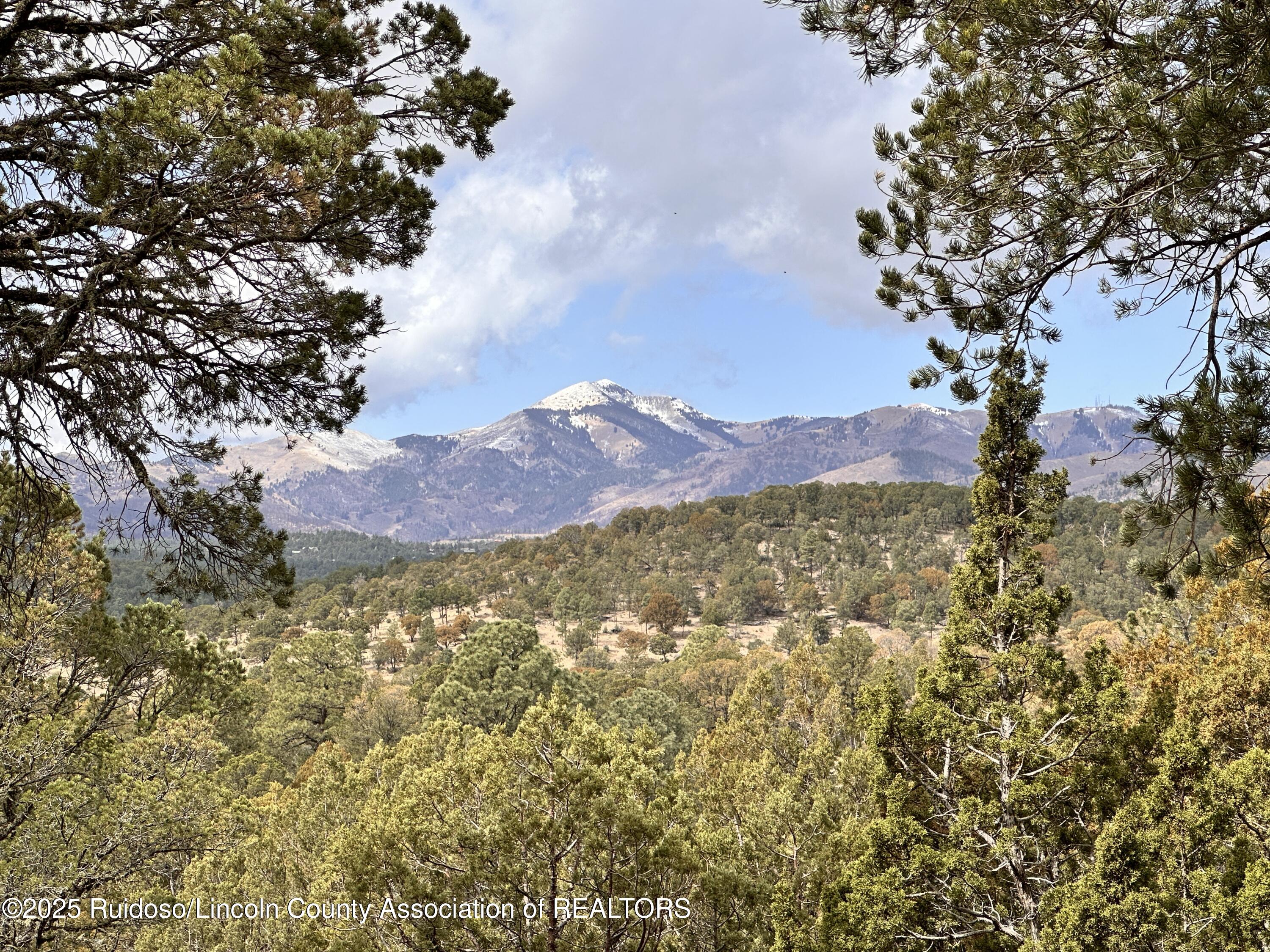 375 State Hwy 220, Alto, New Mexico image 4