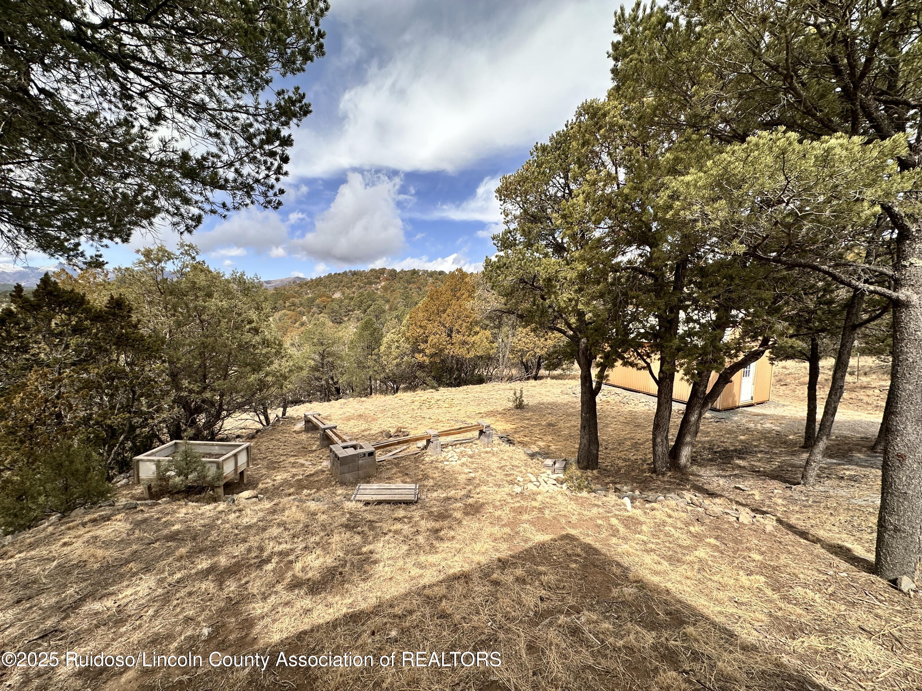 375 State Hwy 220, Alto, New Mexico image 5