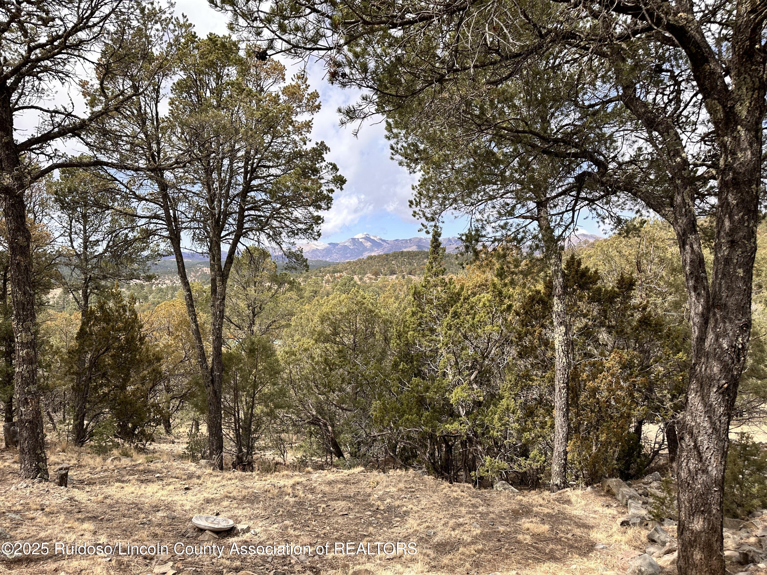 375 State Hwy 220, Alto, New Mexico image 6