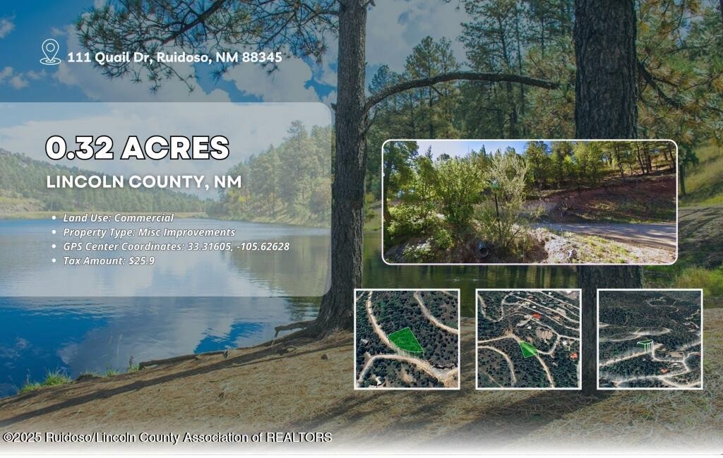 111 Quail Drive, Ruidoso, New Mexico image 6
