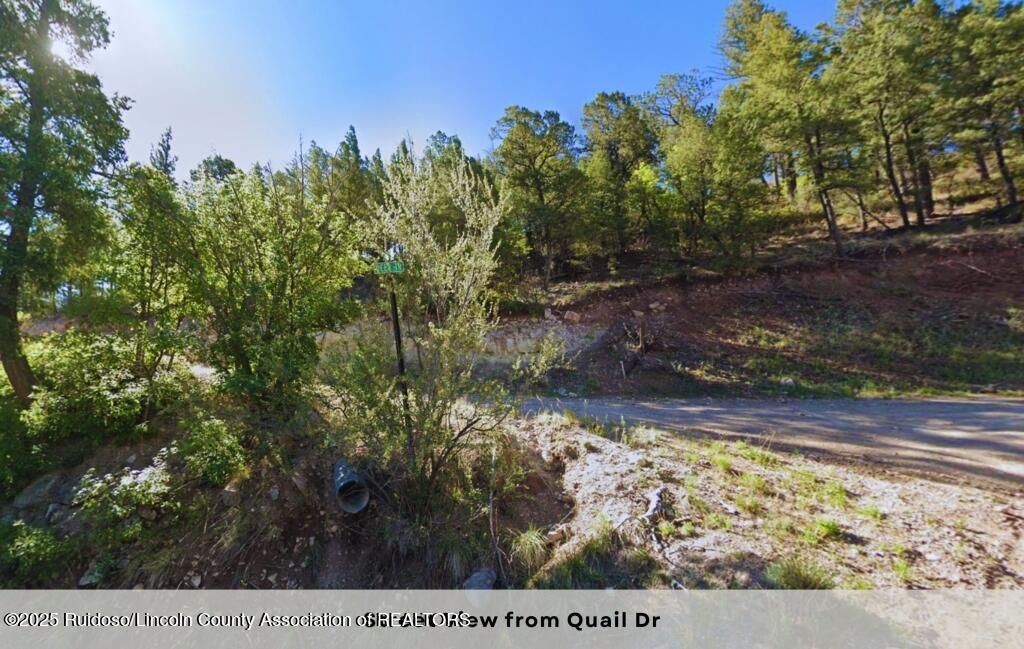 111 Quail Drive, Ruidoso, New Mexico image 1