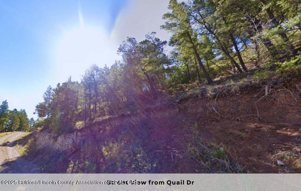 111 Quail Drive, Ruidoso, New Mexico image 3