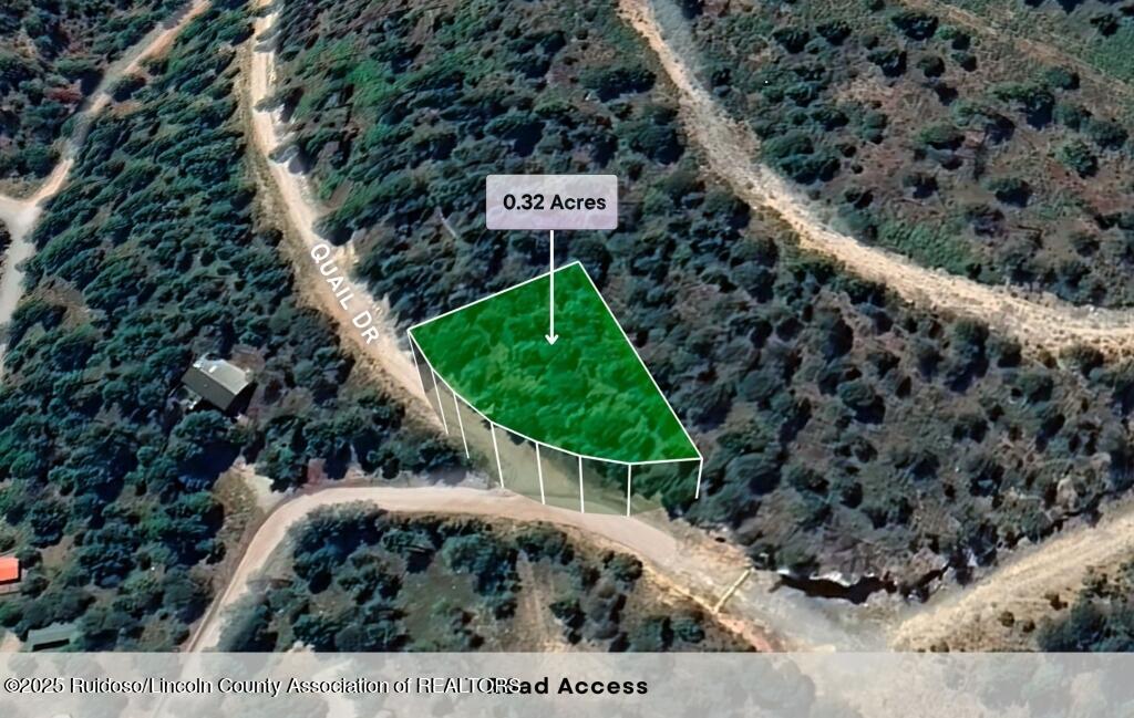 111 Quail Drive, Ruidoso, New Mexico image 5