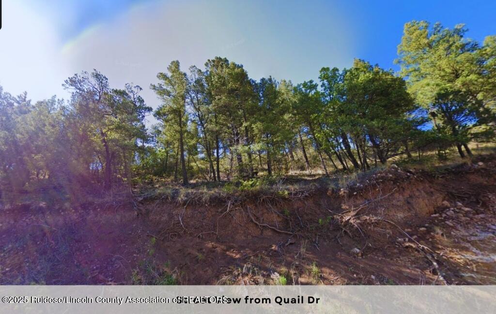 111 Quail Drive, Ruidoso, New Mexico image 2