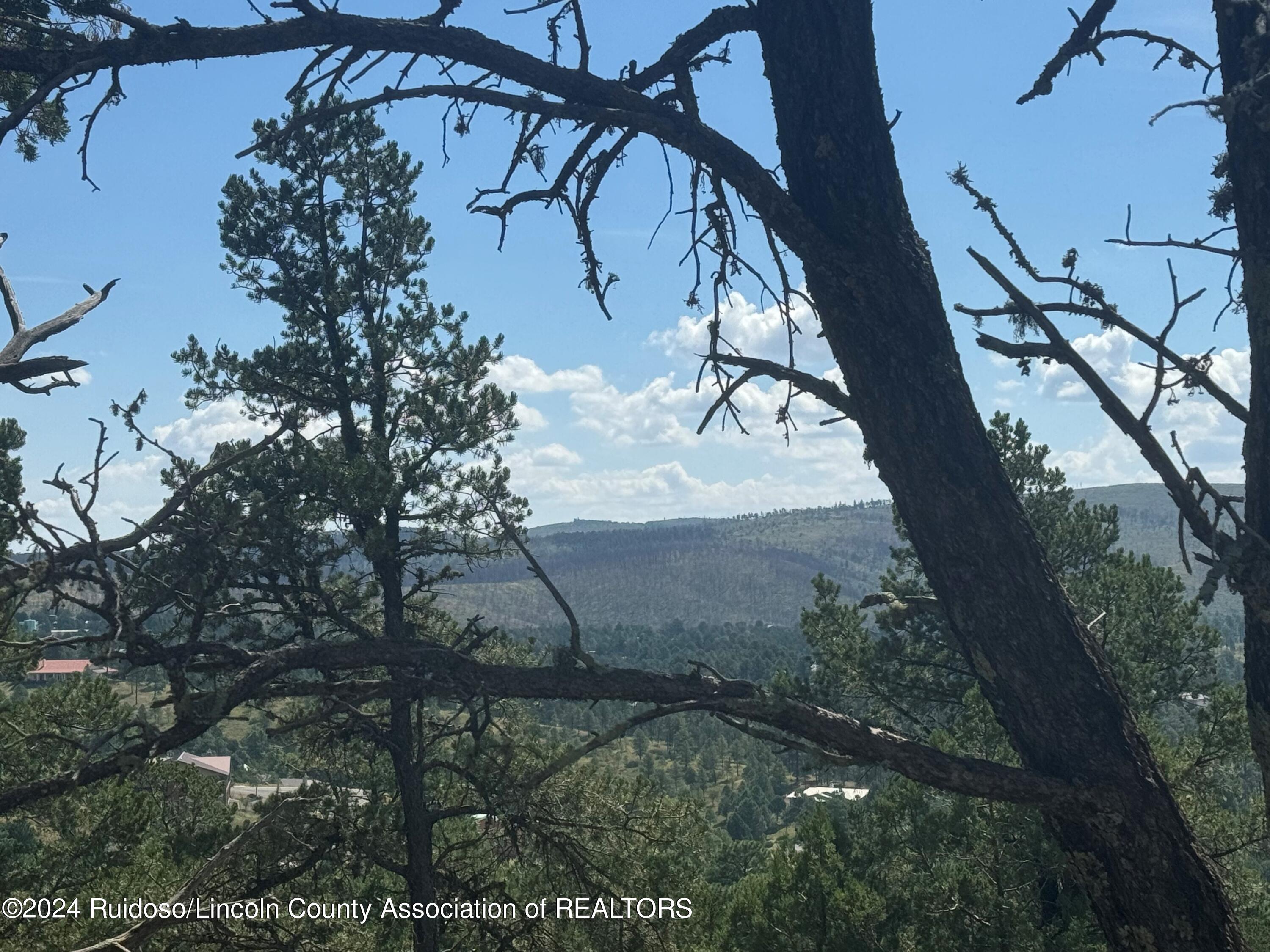 208 Valley View Drive, Ruidoso, New Mexico image 1