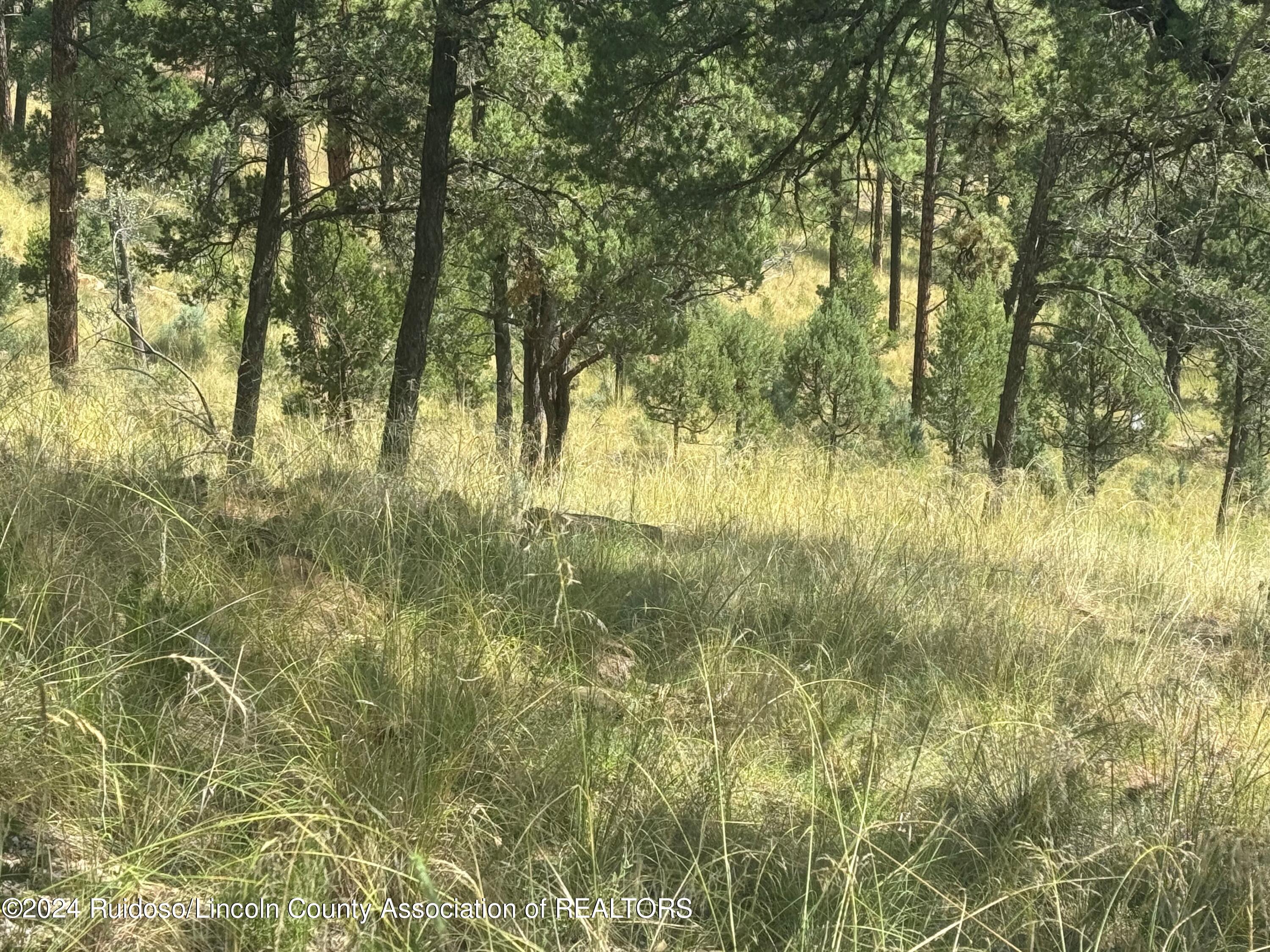 208 Valley View Drive, Ruidoso, New Mexico image 2