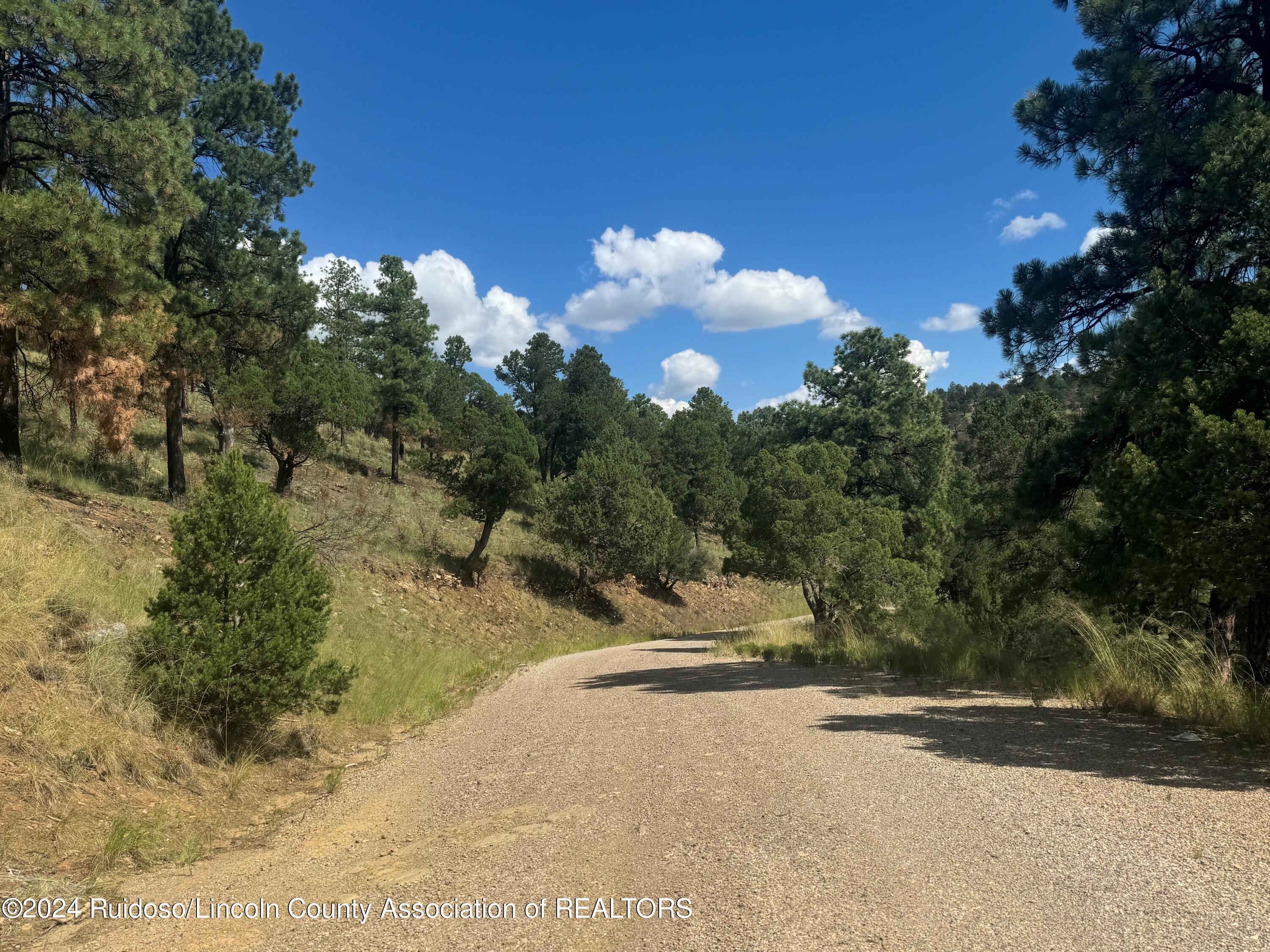 208 Valley View Drive, Ruidoso, New Mexico image 8