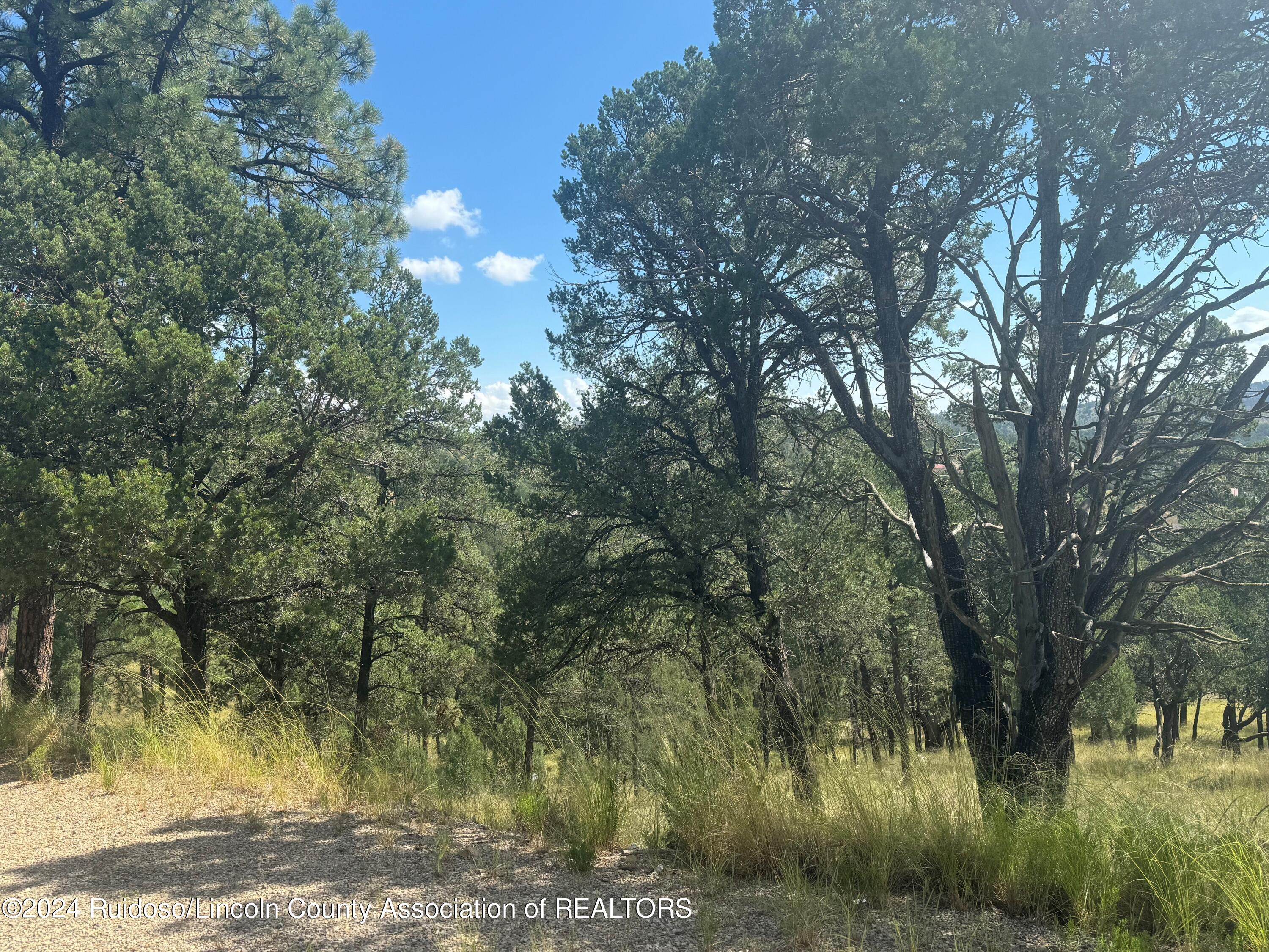 208 Valley View Drive, Ruidoso, New Mexico image 11