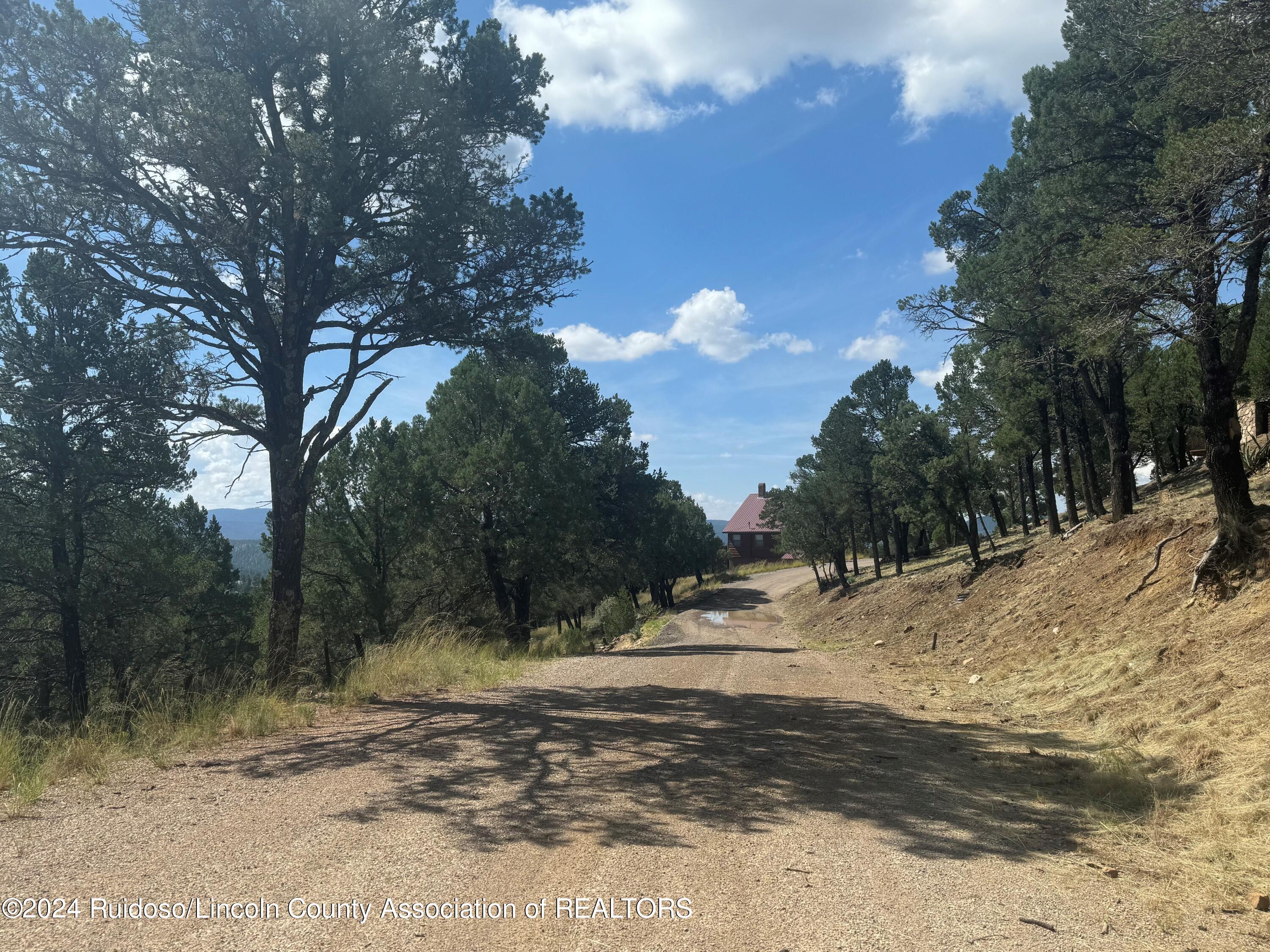 208 Valley View Drive, Ruidoso, New Mexico image 10