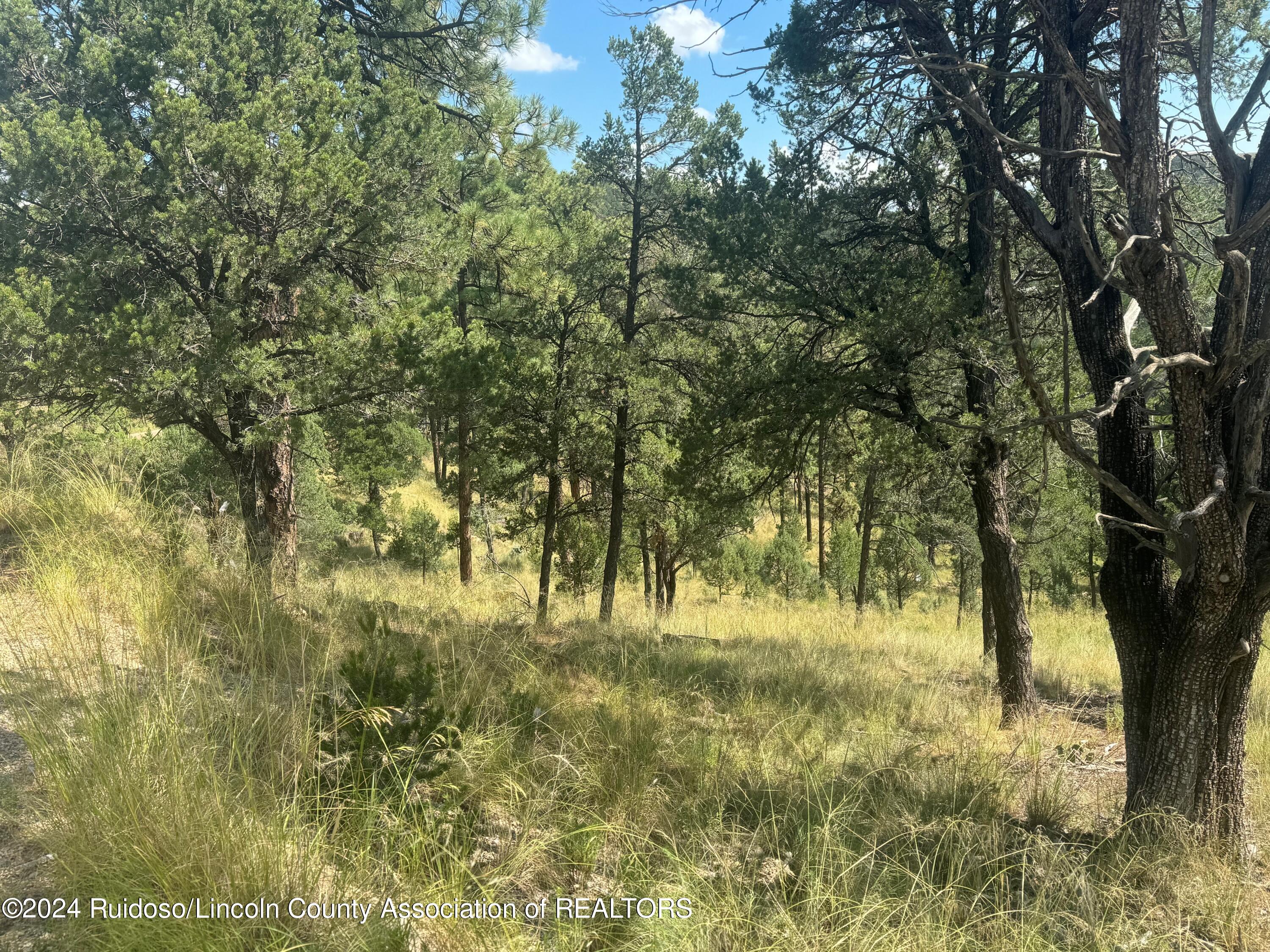 208 Valley View Drive, Ruidoso, New Mexico image 6