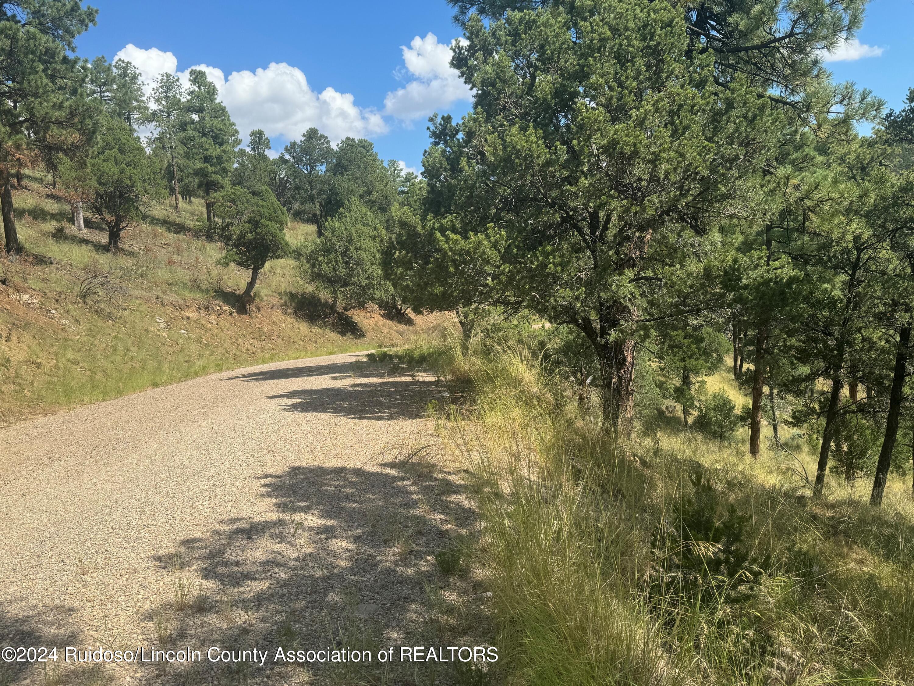 208 Valley View Drive, Ruidoso, New Mexico image 5