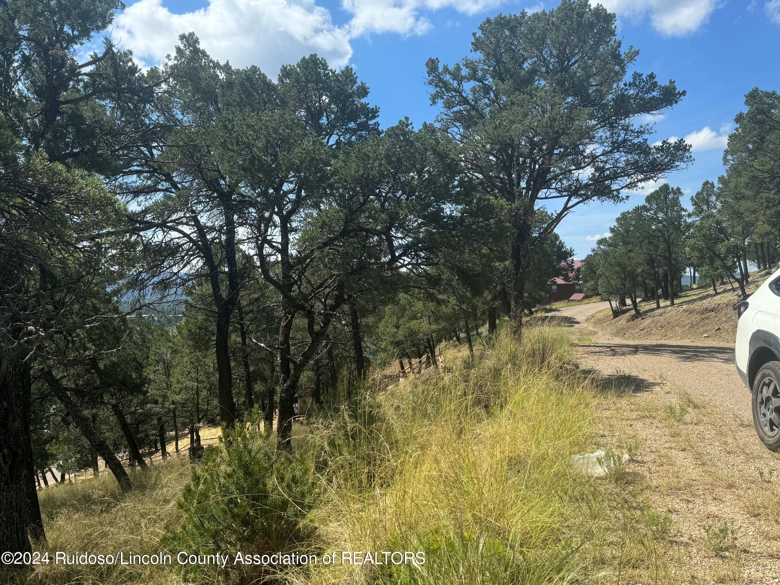 208 Valley View Drive, Ruidoso, New Mexico image 7