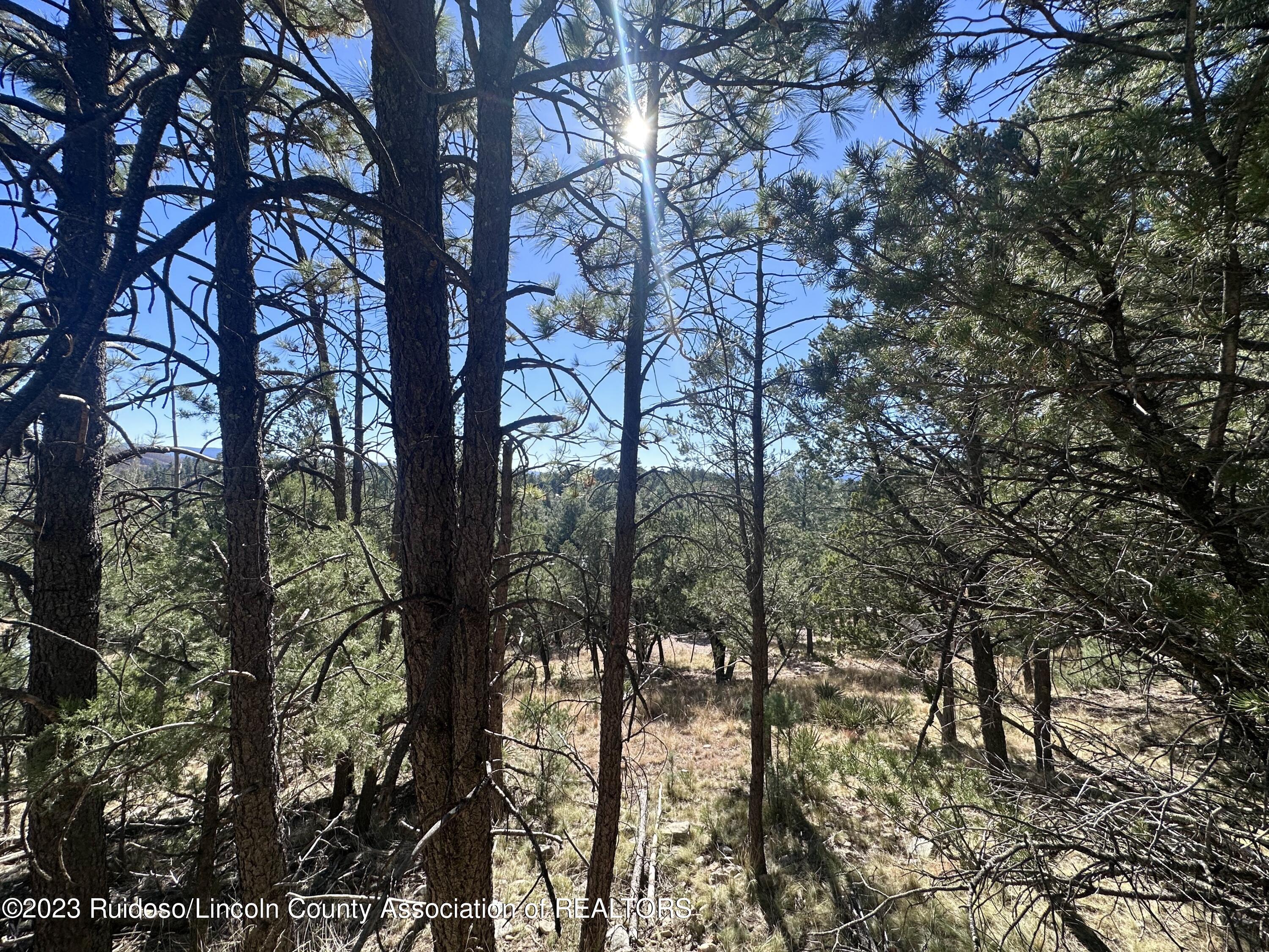 110 Rain Dance Trail, Ruidoso, New Mexico image 14