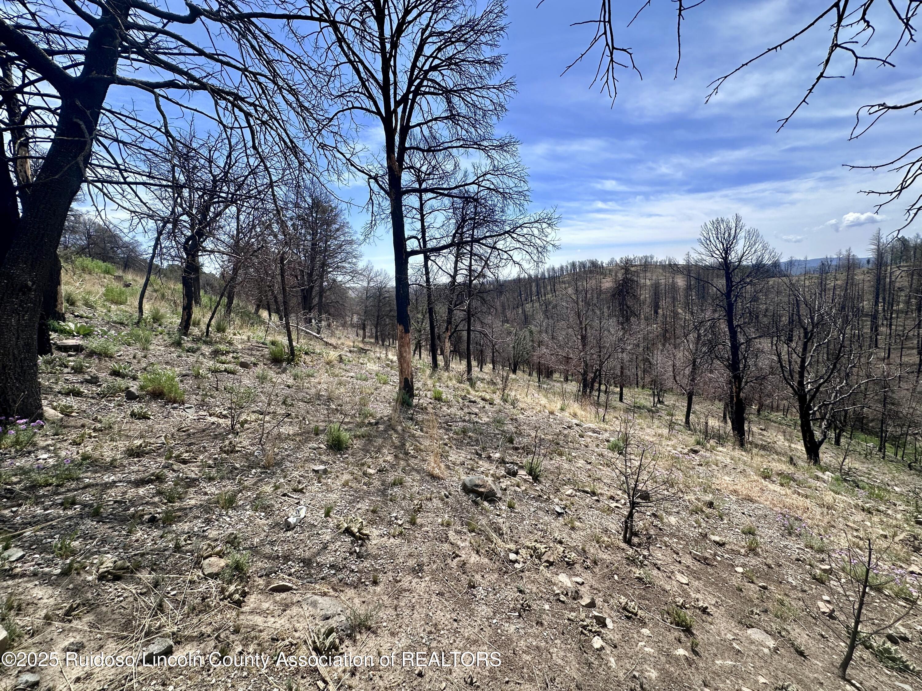 Lot 11 Alpine Village Drive, Ruidoso, New Mexico image 2