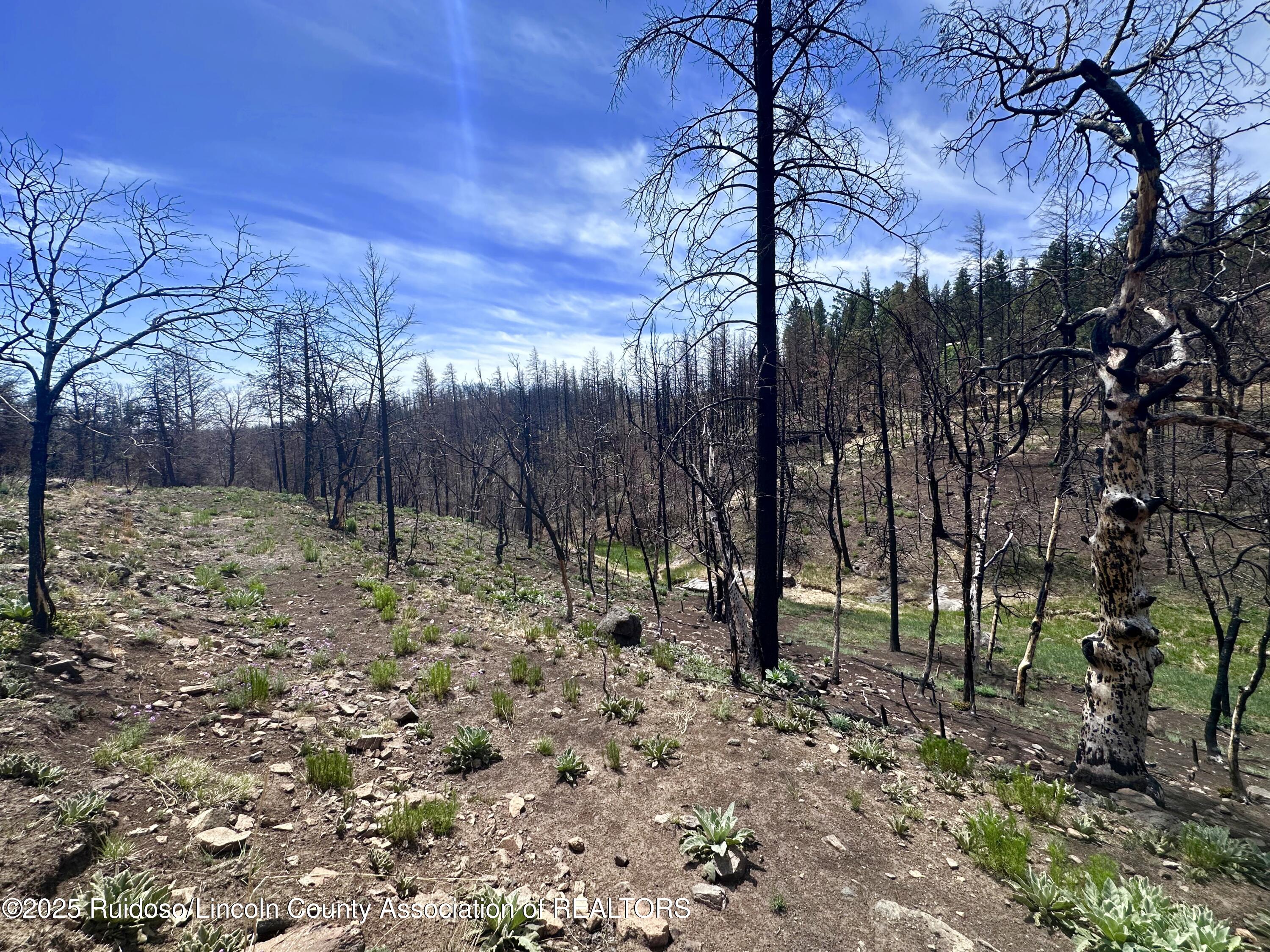 Lot 11 Alpine Village Drive, Ruidoso, New Mexico image 5