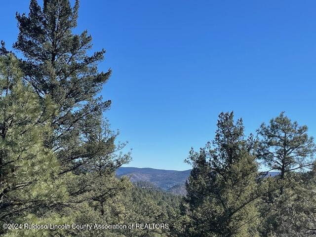 119 Maple Drive Dr, Ruidoso, New Mexico image 3