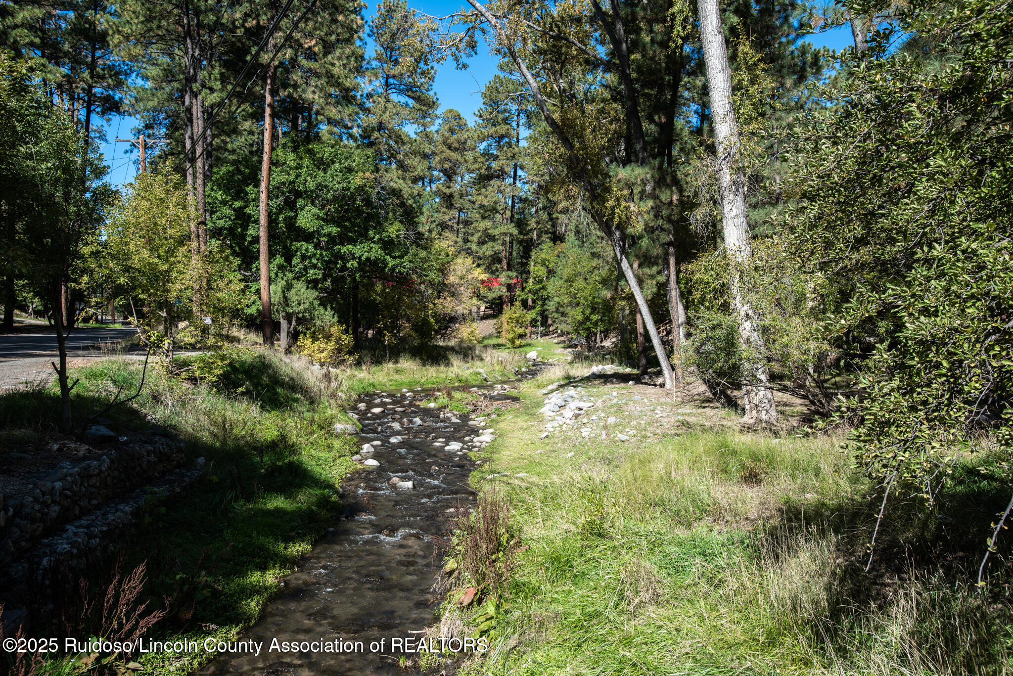 904 Carrizo Canyon Road #233, Ruidoso, New Mexico image 18