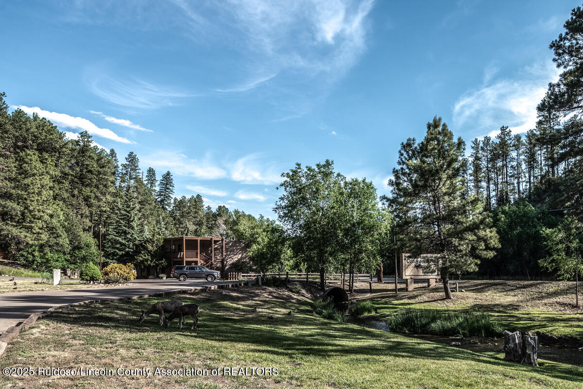 904 Carrizo Canyon Road #233, Ruidoso, New Mexico image 2