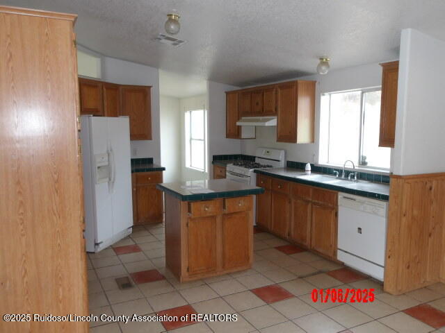 1236 Little Big Horn Road, Alto, New Mexico image 2