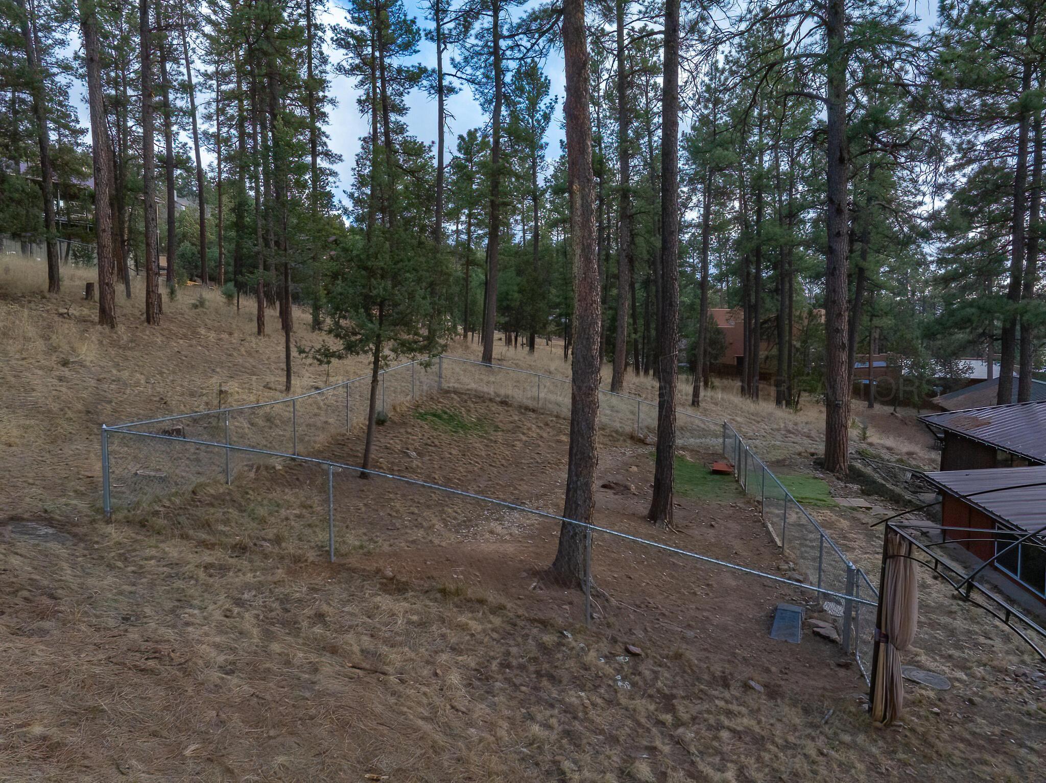 810 Hull Road, Ruidoso, New Mexico image 5