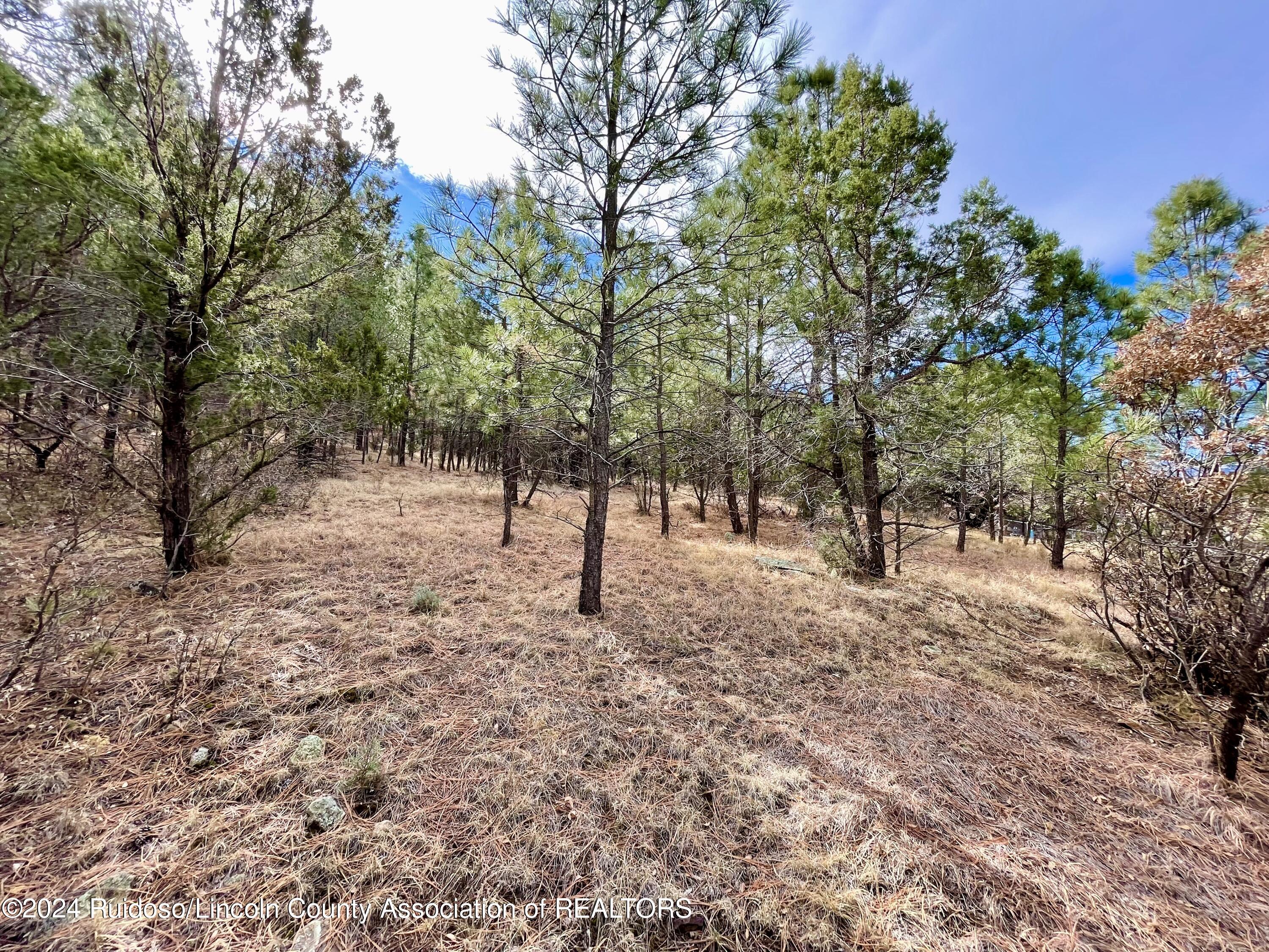 L17 Little Creek Hills Road, Alto, New Mexico image 6